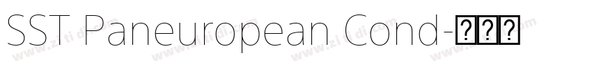 SST Paneuropean Cond字体转换